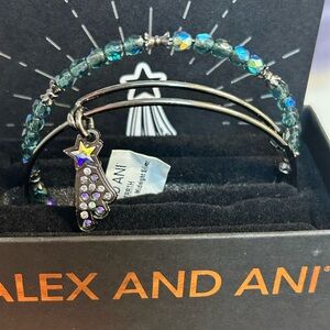 Alex and Ani Midnight Silver Bracelet Set